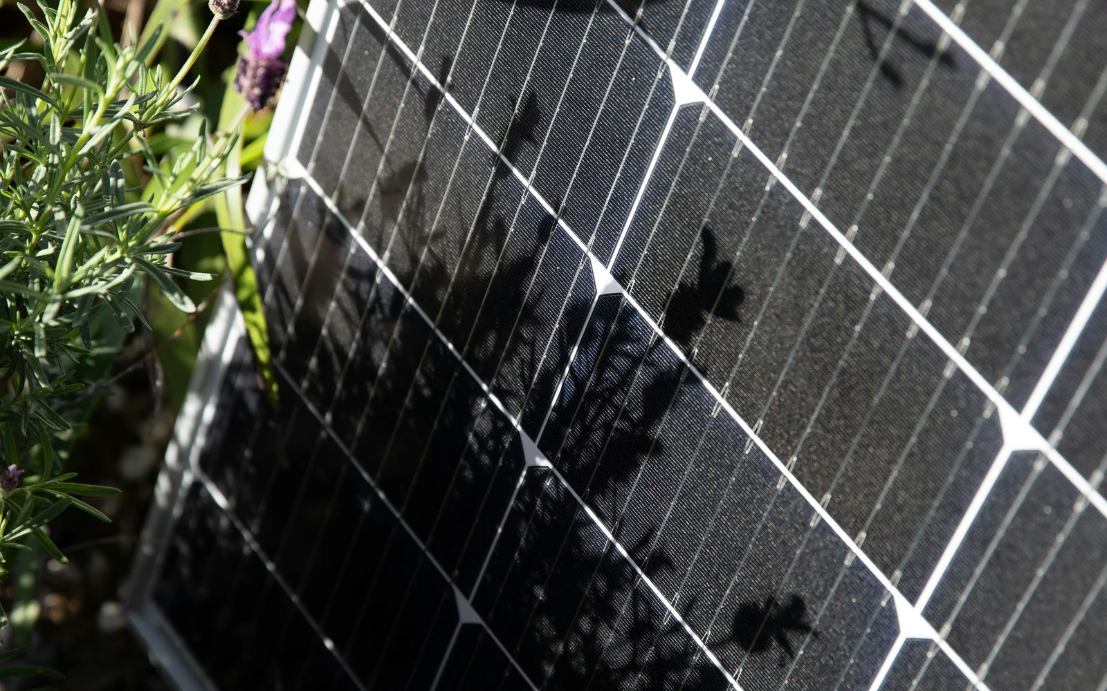 Production solaire à proximité de l'habitat Détail d'un module solaire installé près d'un jardin