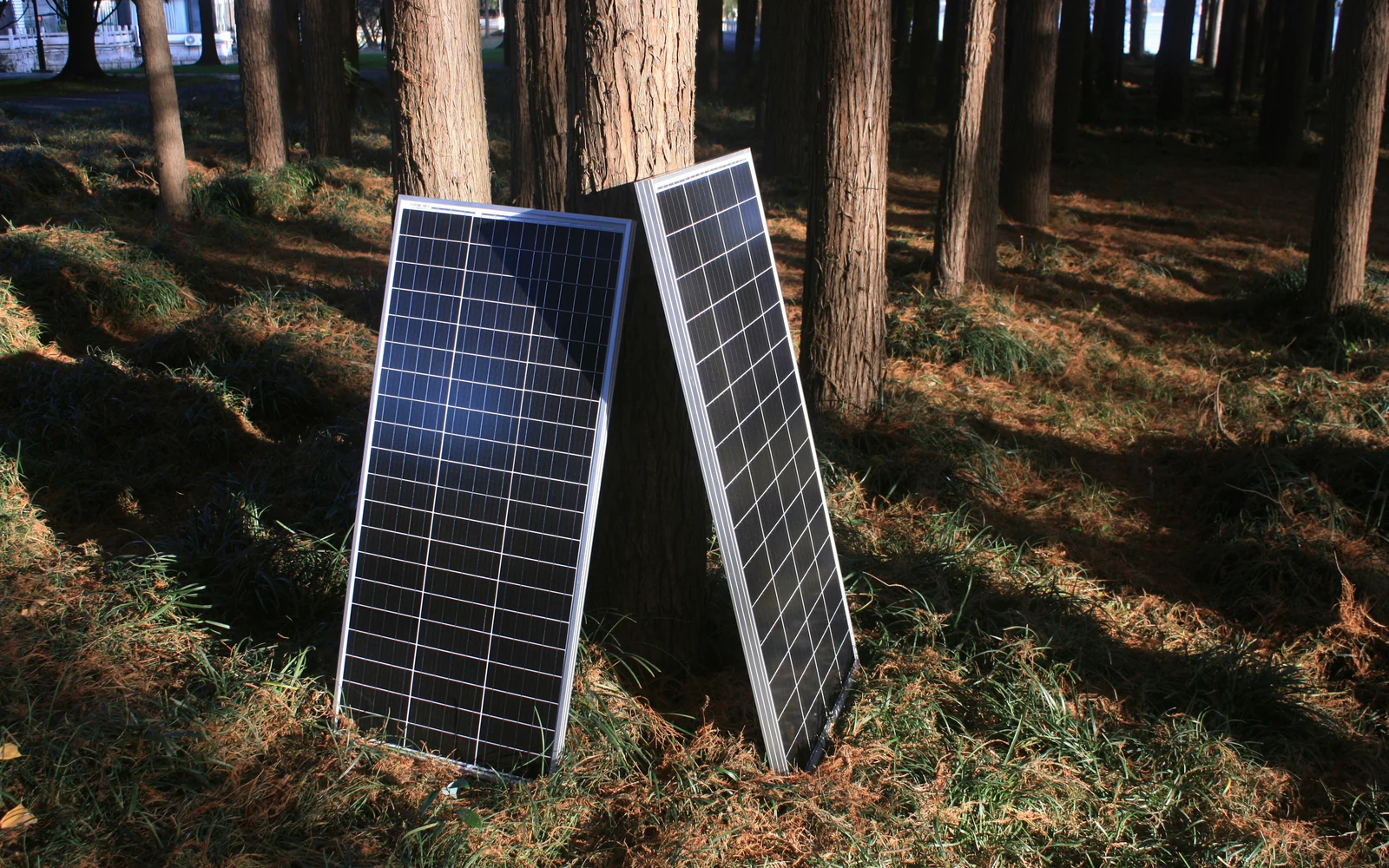 Modules solaires et autonomie énergétique Deux modules photovoltaïques mobiles installés dans un environnement boisé
